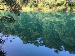 -广州市流溪河国家森林公园