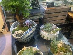 -弗劳尔花艺坊(龙涛店)