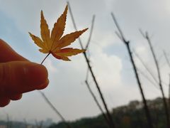 -渣滓洞