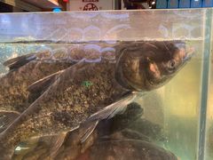 -王庄阿咪海鲜大排档(象园店)