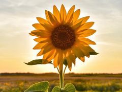 -星巴克(海桐路店)