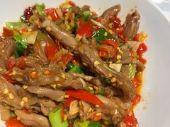 鸭掌筋-壹盏灯(惠农店)