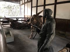 景点-燊海井