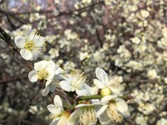 -蜀冈西峰生态公园