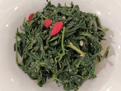 清香枸杞苗-国强手抓(北京西路店)