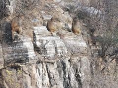 -北京上方山国家森林公园