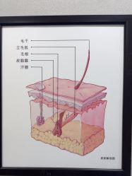 -重庆联合丽格美容医院