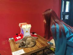 -猫色咖啡·猫咖