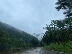 -白草畔自然风景区