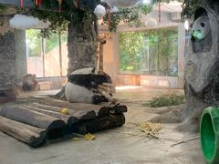 -海南热带野生动植物园