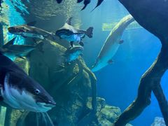 -多彩贵州城极地海洋世界