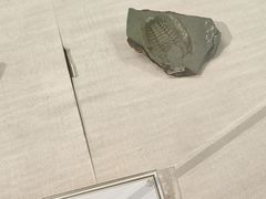 -辽宁古生物博物馆