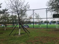 -瀛海足球主题公园