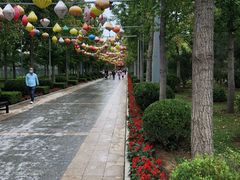 -南宫五洲植物乐园