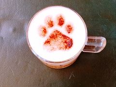 猫布奇诺-猫小院猫主题餐厅(南锣旗舰店)