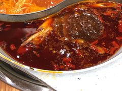 -青瓷火锅料理(西单大悦城店)