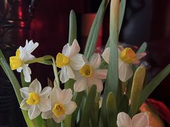 -真爱中国餐馆·年华店(朱雀大街店)