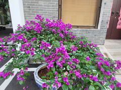 -南京钟山宾馆(江苏省会议中心)