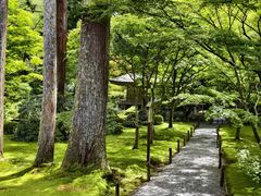 -三千院