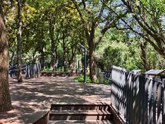 -苏州河梦清园环保主题公园