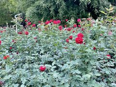 -人民公园(罗湖区)