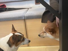 -小意思咖啡店(草桥店)