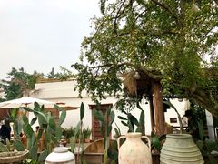 -悦哉·派对·草坪婚礼·围炉煮茶(三圣乡店)