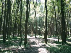 -同里国家湿地公园