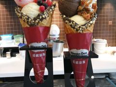 -哈根达斯(陆家浜路店)