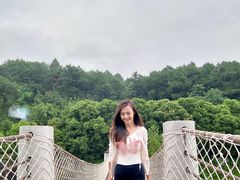 -铁山坪森林公园