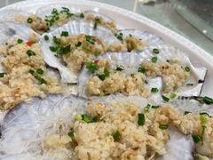扇贝-渔民新村(番禺总店)