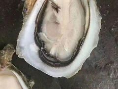 -福泉海码头(六里山店)