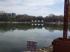 -青城公园