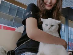 -瞄一喵猫咖(格力海岸店)