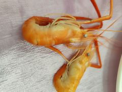 -南港渔村海鲜酒楼(石岐日升店)