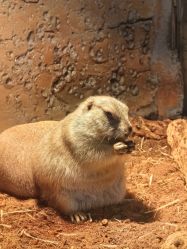 点击看大图 -Zoolung Zoolung动物主题公园(海信广场店)