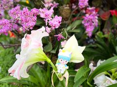 -上海辰山植物园