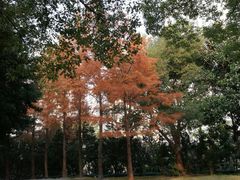 -苏州河梦清园环保主题公园