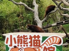 -广州动物园