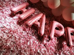 -百好乐宠物友好餐厅(朝外大街店)