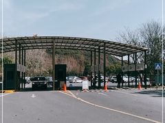 -上海佘山国家森林公园东门地面停车场