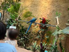 -杭州开元森泊度假乐园