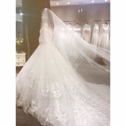 -艾米丽婚纱礼服