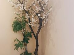 -蟹将军日本料理(中南路店)