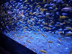 -成都浩海立方海洋公园