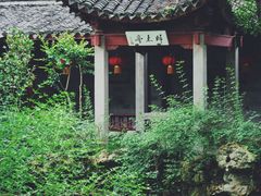 -天一阁博物院
