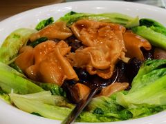 -千灯盛汇·头牌粤菜(致越优城店)