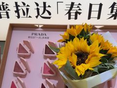 -PRADA普拉达(国际广场店)