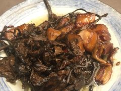 -芙蓉凰花园酒楼