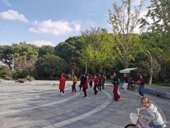 -昆山城市生态森林公园